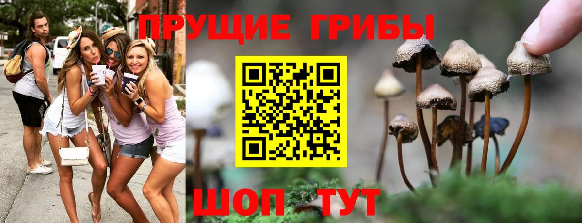 Хабаровск  Галлюциногенные грибы ЛСД  Вход с VPN 